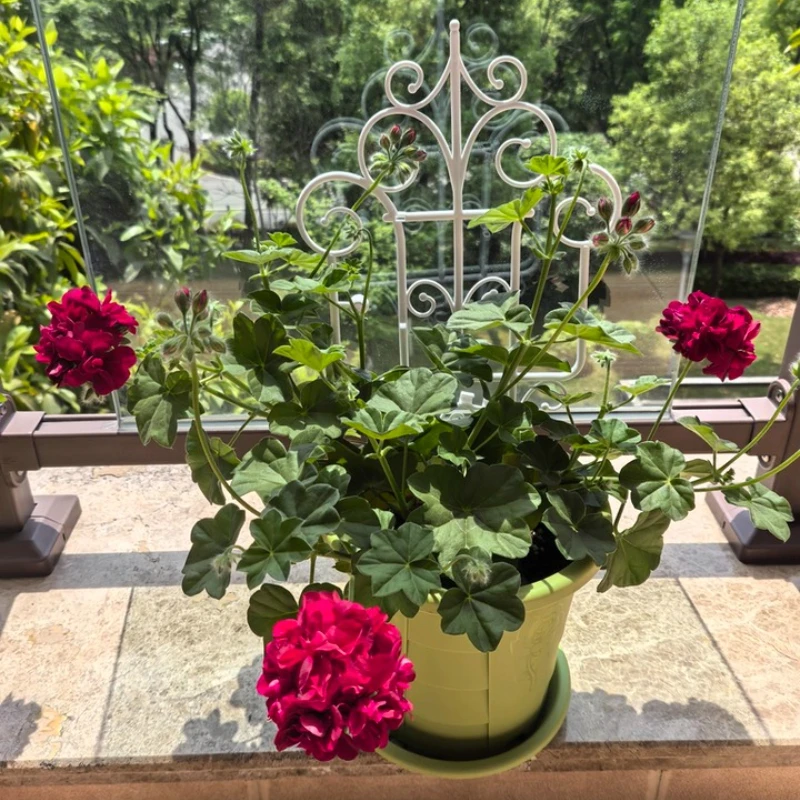 European Style Garden Fence White Plastic Outdoor Border for Yard Decorative Climbing Trellis for Plant Rustproof Flower Support