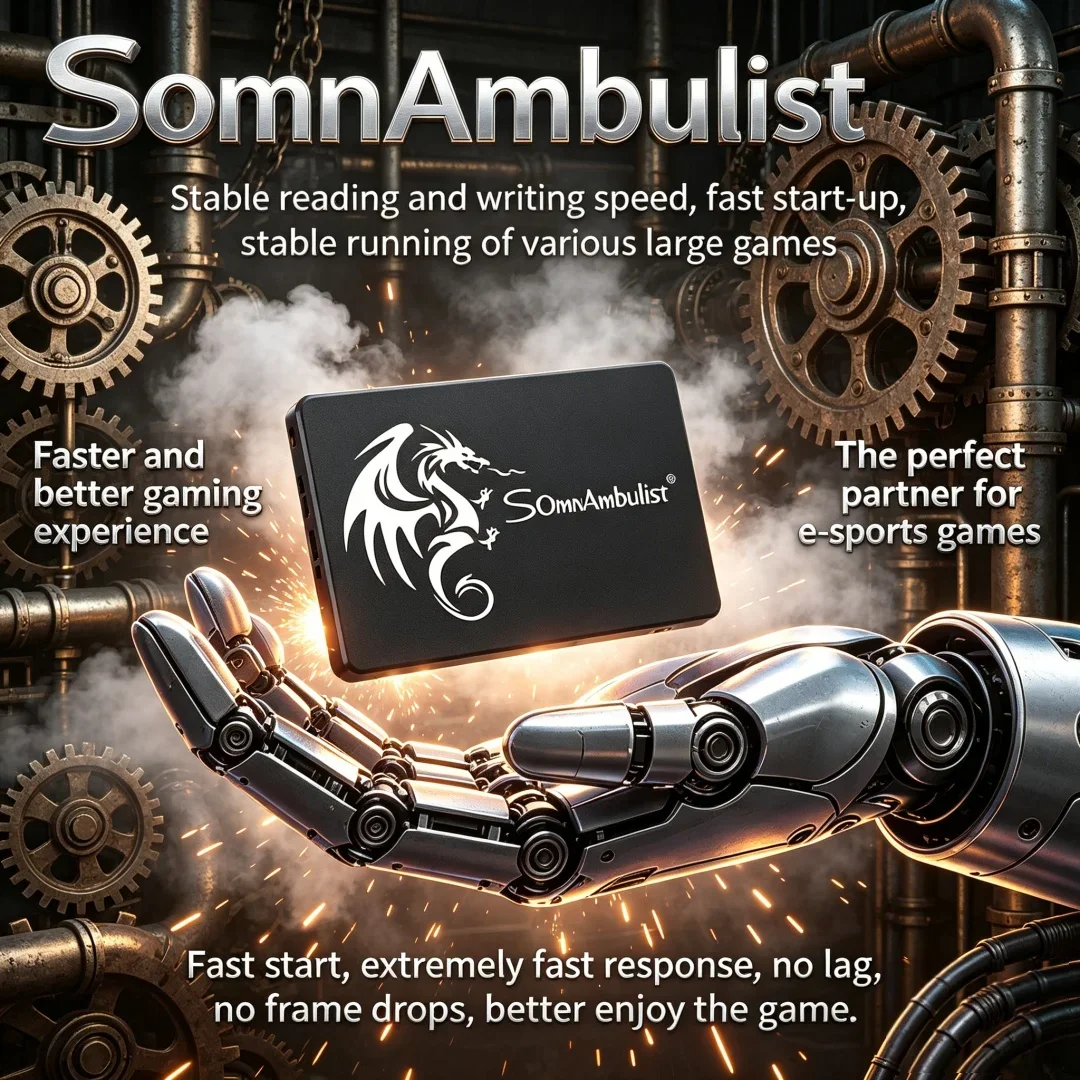 

SomnAmbulist Best Value 2.5 Sata3 Solid State Drive Full Capacities Internal SSD For Laptop Desktop Upgrade 512GB 960GB 1TB 2TB