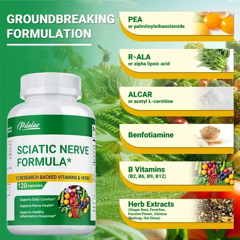 Ischias-Nerv-Kapseln – beseitigt Ischiasbeschwerden, gleicht Entzündungen aus, lindert Gelenkschmerzen, bewahrt die Gesundheit der Ischias-Nerv