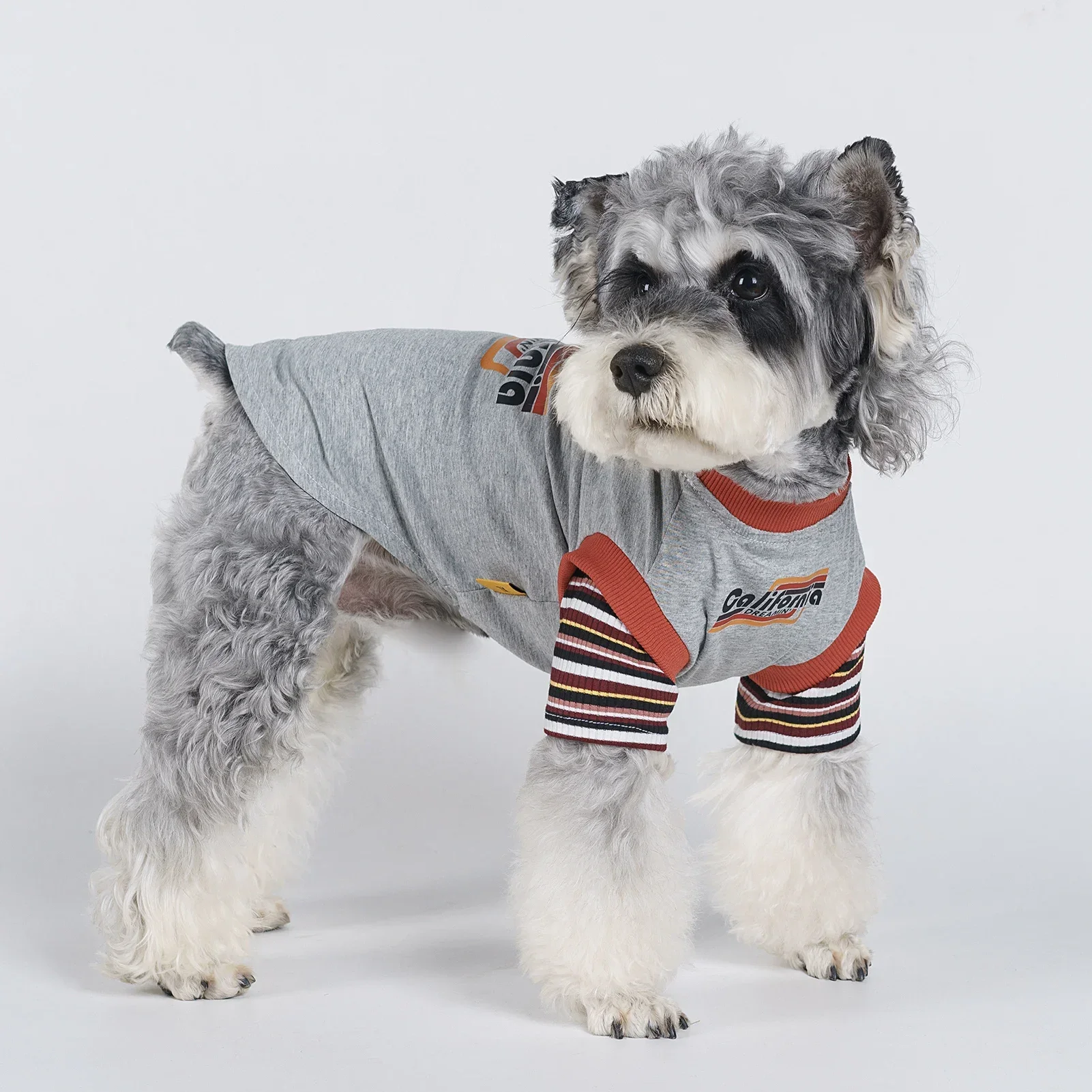 

Vintage American Style Dog Hoodies for Summer - Ideal for Teddy, Bichon, Corgi, Schnauzer and other Small Dogs and Cats