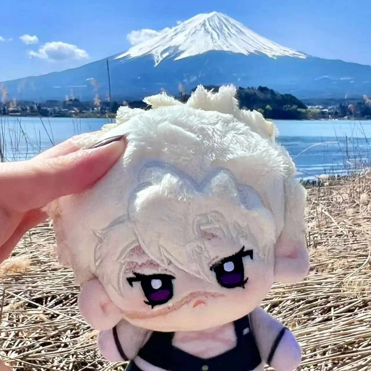 Caliente 10cm Demon Slayer Anime Shinazugawa Sanemi peluche lindo llavero de muñeca Pandent figura de dibujos animados de peluche accesorios juguetes Pandent