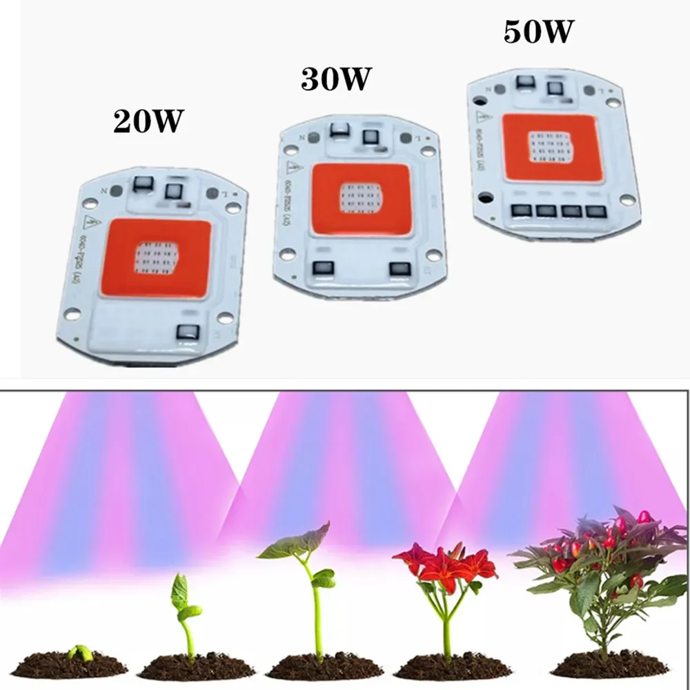 Lampu Pertumbuhan Cahaya COB LED Spektrum Penuh 50W 30W 20W 220V 110V Chip Led Penumbuh untuk Tenda Penumbuh Rumah Kaca Tanaman