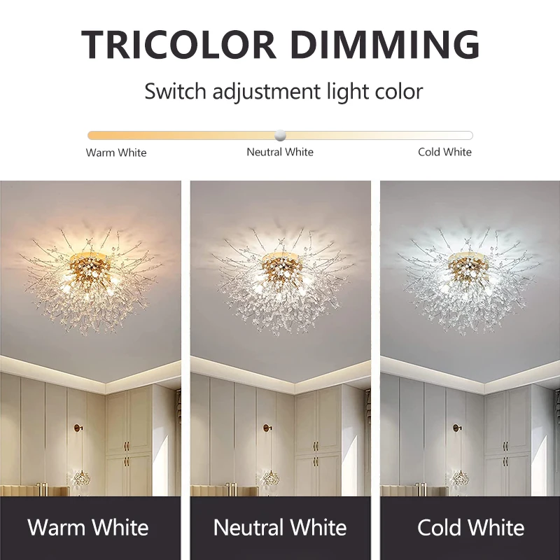 الفاخرة LED ثريا تركب بالسقف الهندباء الإبداعية غرفة الطعام قلادة أضواء ثلاثة ألوان ضوء الشمال تركيبات 220 فولت مصباح السقف #3