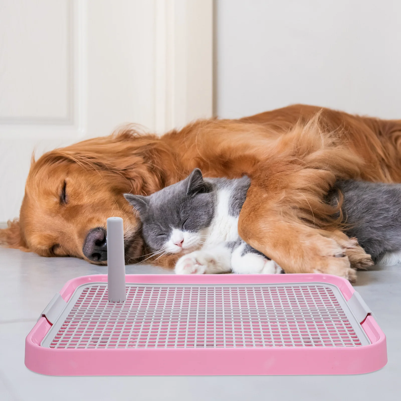 Cane per uso interno Materiale ABS durevole Facile da pulire Lettiera a prova di fuoriuscite Vassoio vasino per addestramento di cuccioli Bagno Pad per cacca Cani