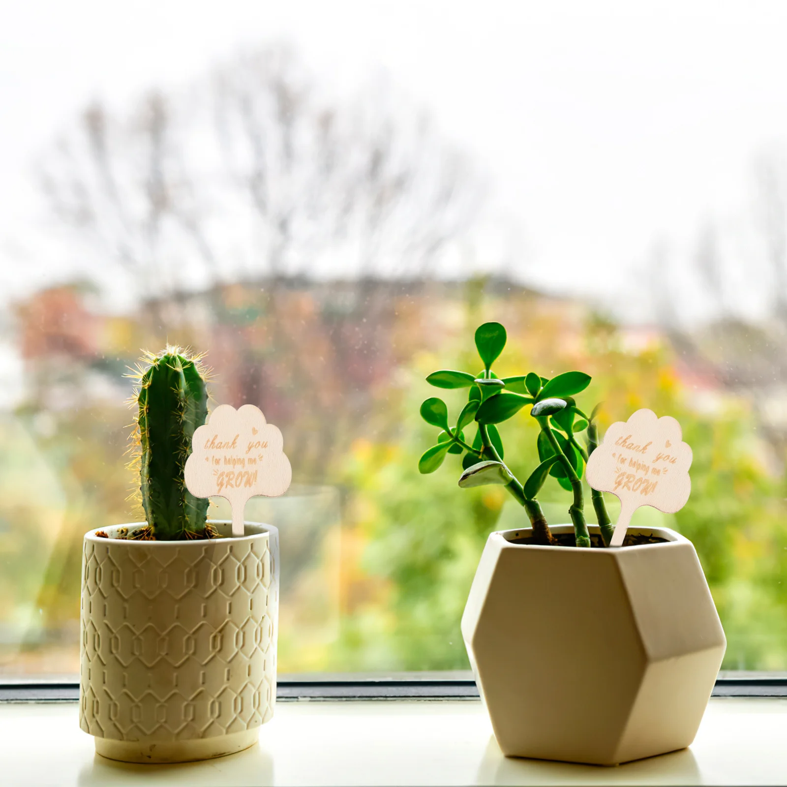 

25Pcs Bamboo Wooden Plant Tags Garden Markers Thank You for Helping Me Grow Succulent Herb Flower Labels Writable Stakes