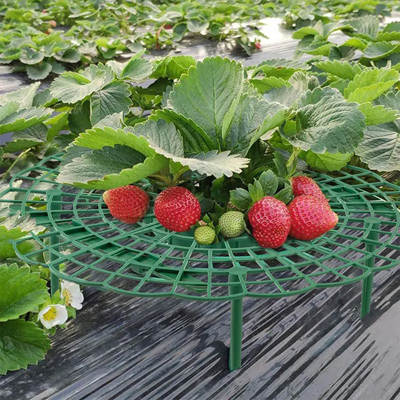 Suporte de plantas de morango acessórios suporte de plantas de jardim gadgets suprimentos de jardinagem itens crescer suporte ferramentas de estufa ao ar livre