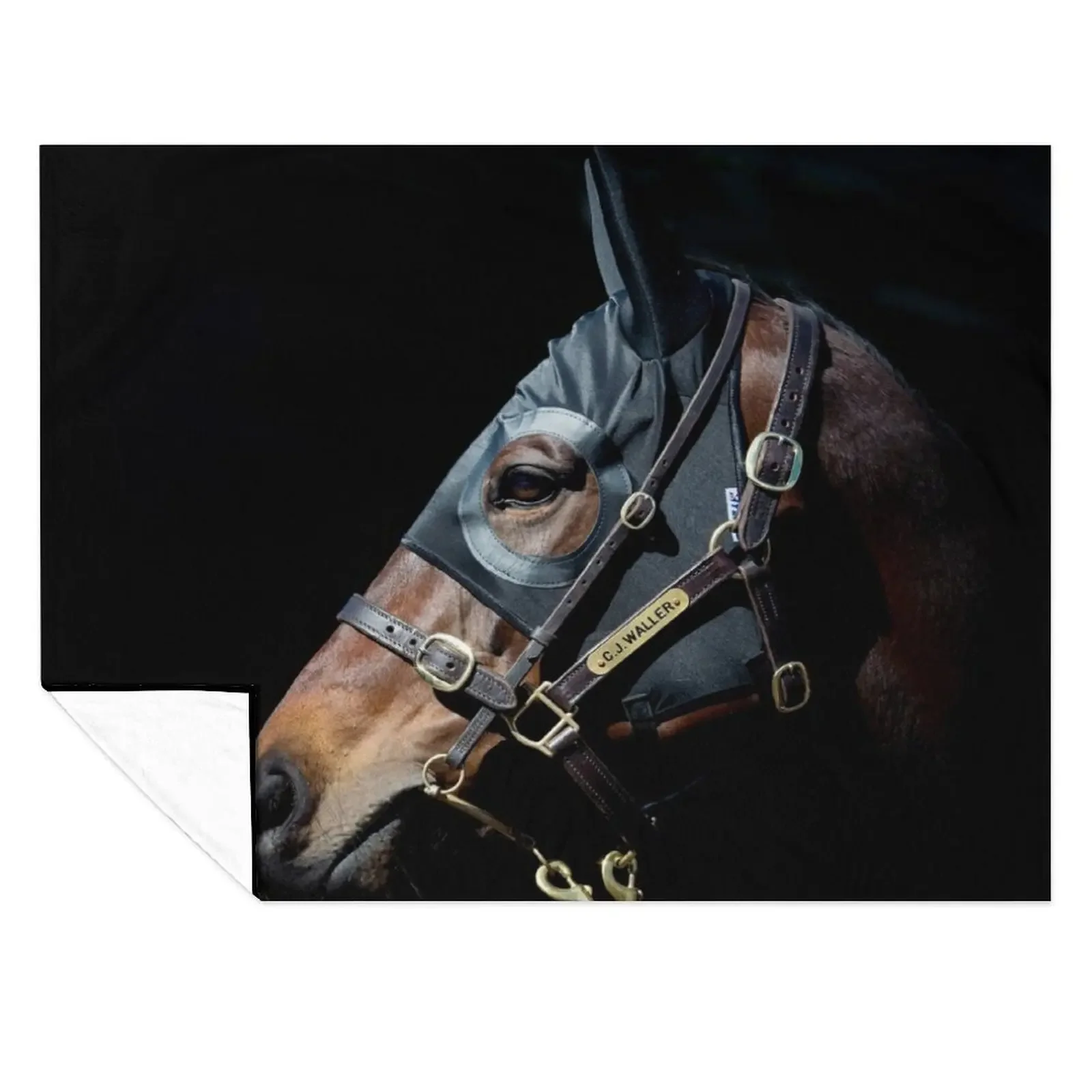 

Winx - Racehorse Throw Blanket Soft Plaid Nap heavy to sleep Custom Blankets