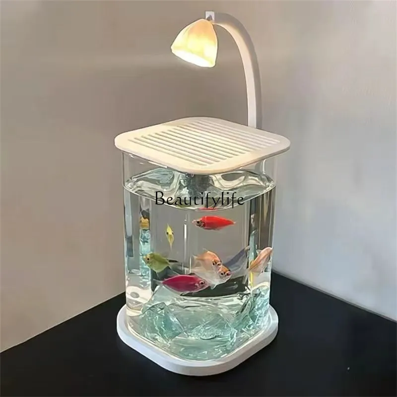 

Mini Desktop Glass Aquarium Fish Tank with LED Light For Kids Betta Fish
