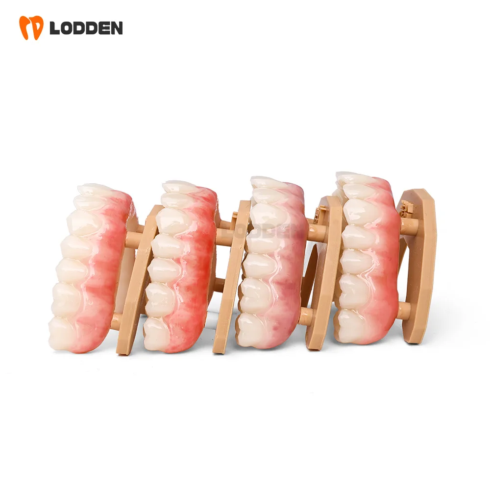 Dental Simulated Gum Modification Kit for Polymerised Ceramics/Print Resin/Acrylic PMMA Dental Light Curing Stain Glaze