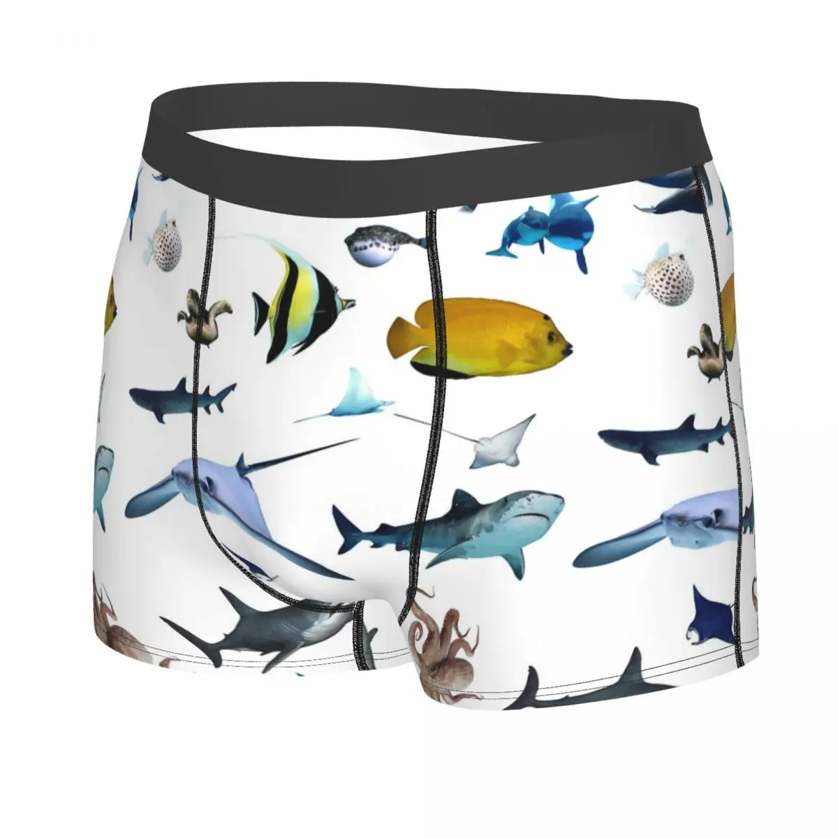 Various Colorful Tropical Fish Men's Boxer Briefs, Highly Breathable Underwear,High Quality 3D Print Shorts Gift Idea