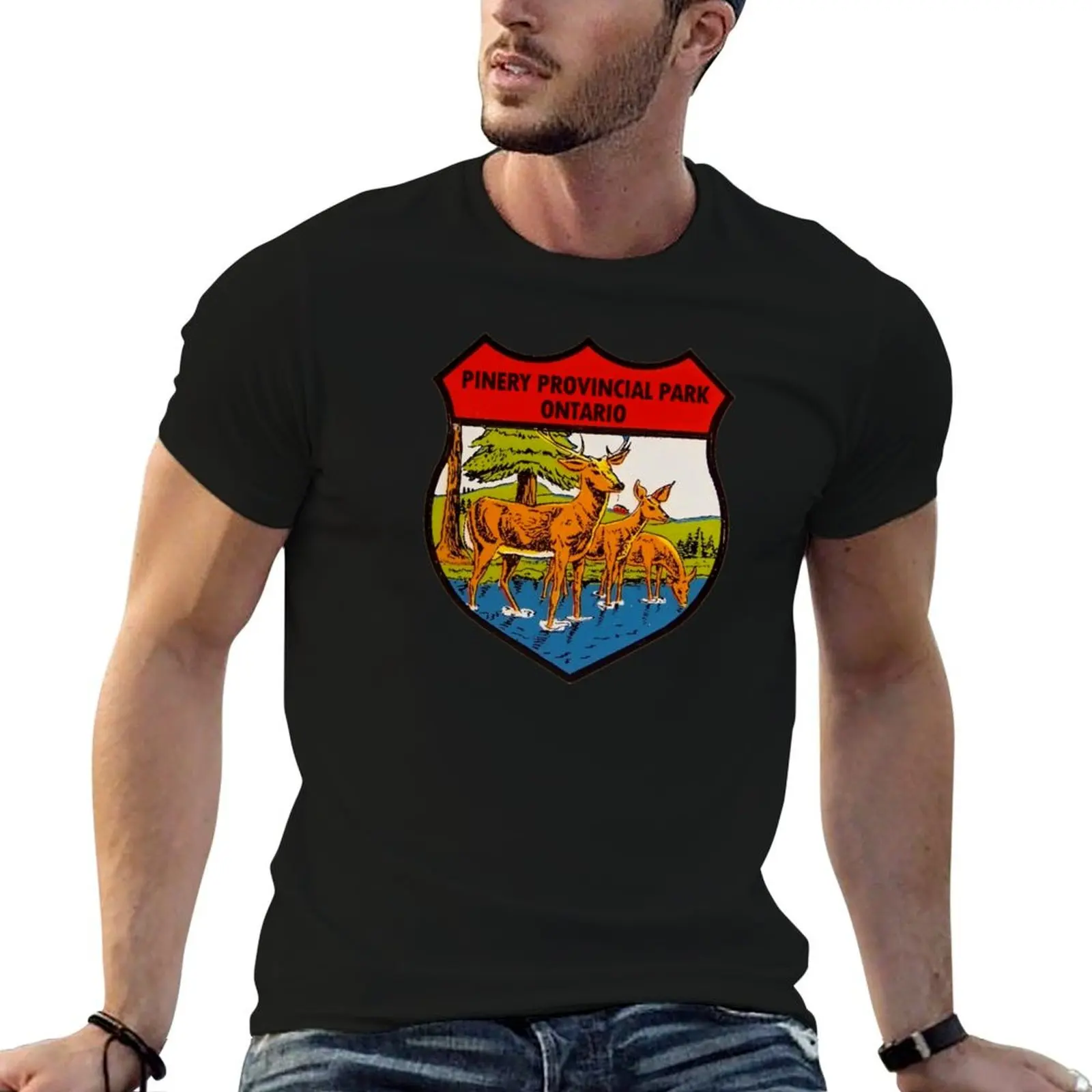 Pinery Provincial Park Ontario Vintage Travel Decal T-Shirt Plus Size Solid Color T-Shirt