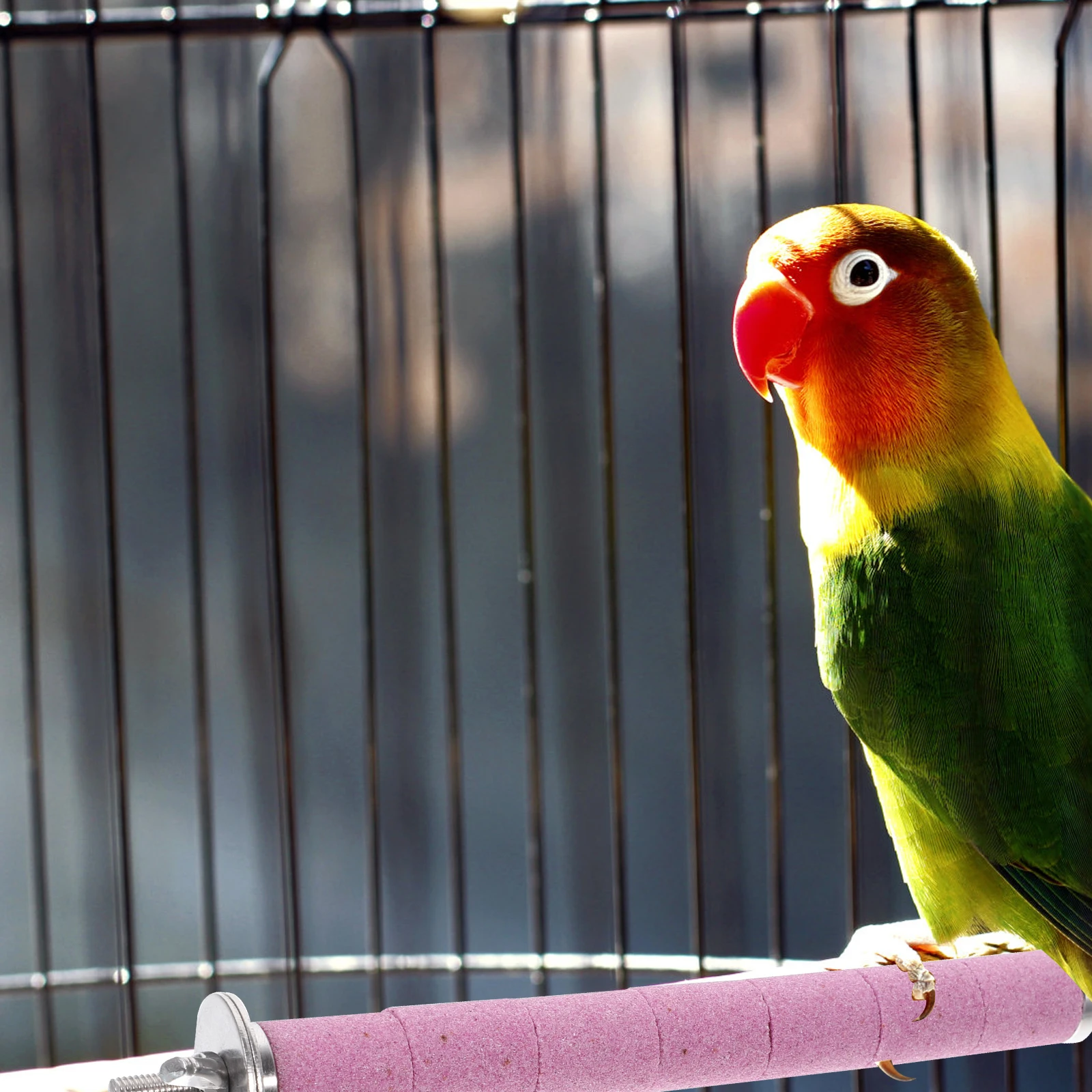 

Sturdy Parrot Perch Bird Cage Bite Resistant Long Lasting For Parakeet Macaw Finch Cage Accessory Pet Bird