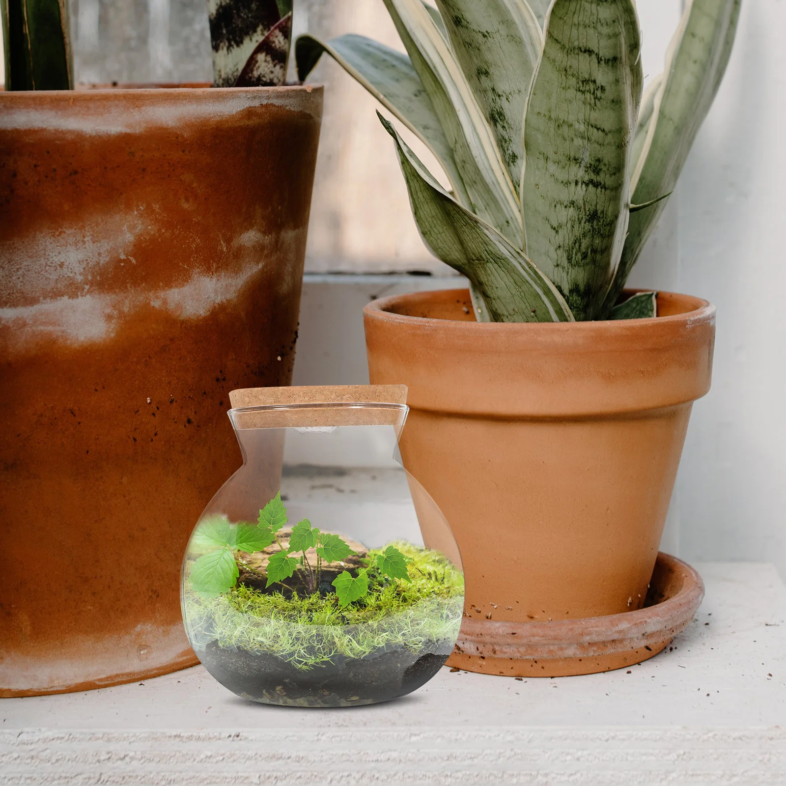 

LED Light Ecological Bottle Borosilicate Glass Wood Cover Transparent Micro Landscape DIY Plant Terrarium Home Decoration