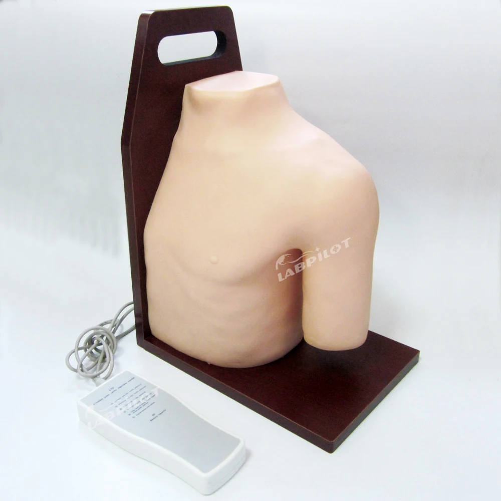 

Electronic Shoulder Joint Intra-articular Injection Training Simulator Nursing Model