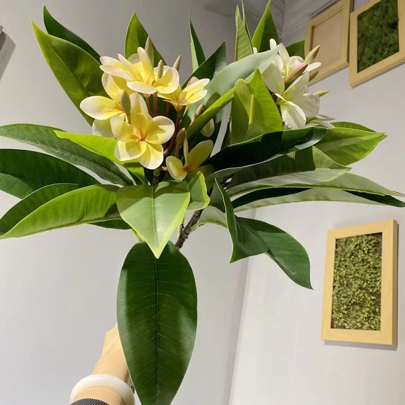 

Ветка плюмерии, имитация цветочного материала, украшение для дерева, дисплей для дома, искусственные растения, домашний декор Hoja