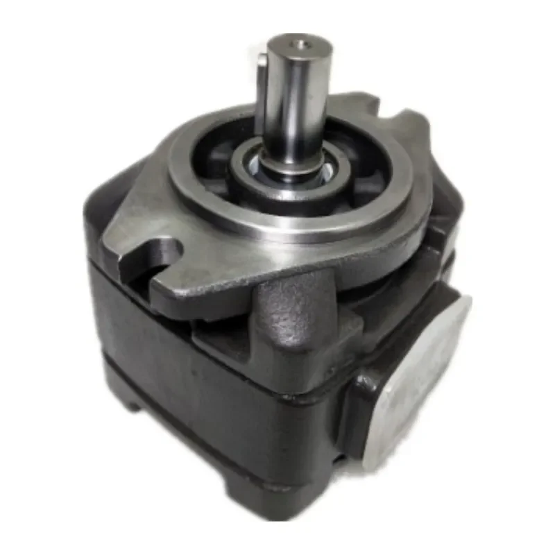 CP1-50/63-P-10R CP1-32-P-10R سلسلة آلة القوالب الهيدروليكية مضخة تروس CP1-63-P-10R-36 #4