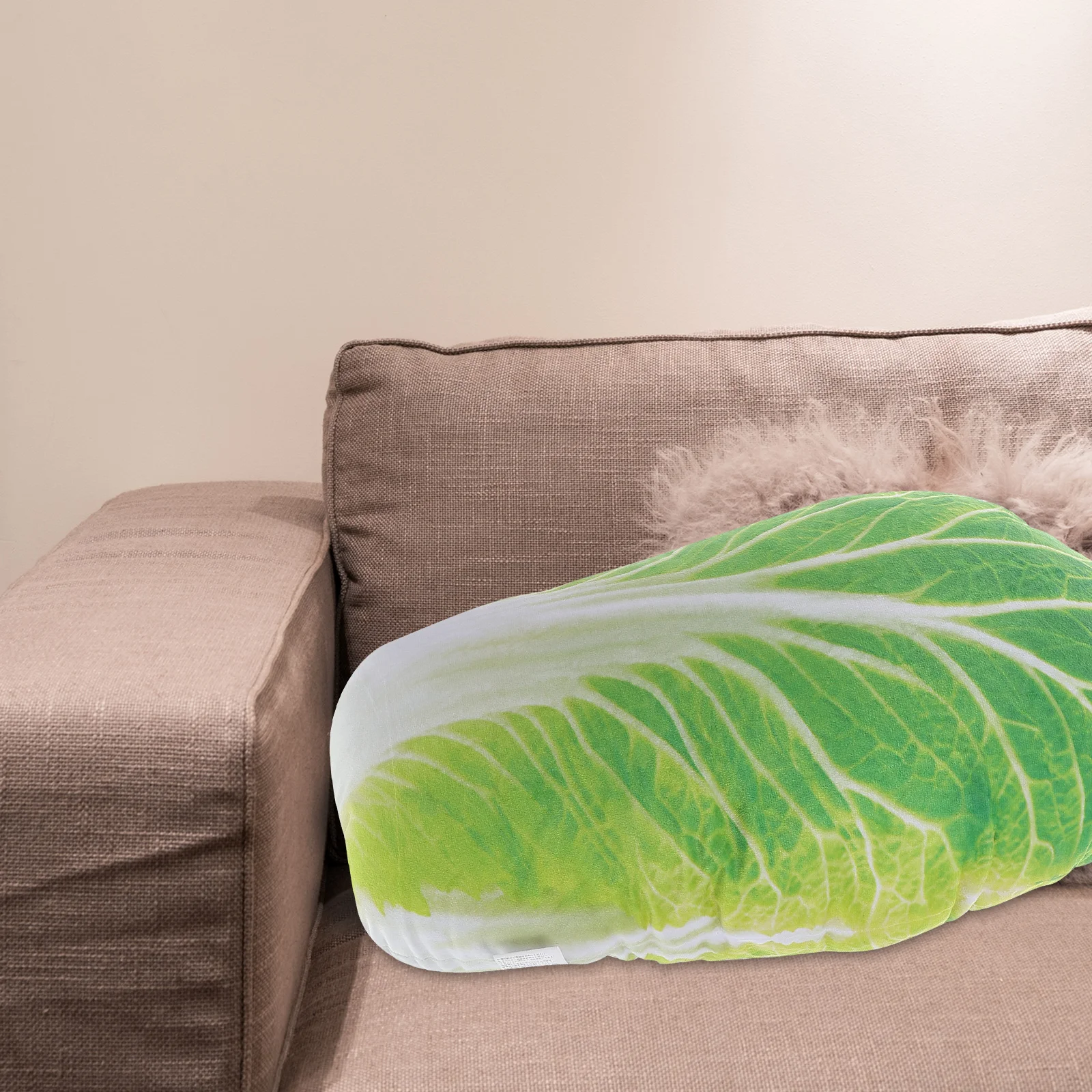 

Vegetable Pillow Cabbage Decorative Throw Pillows Couch Decorate for Bed Boho Bedroom