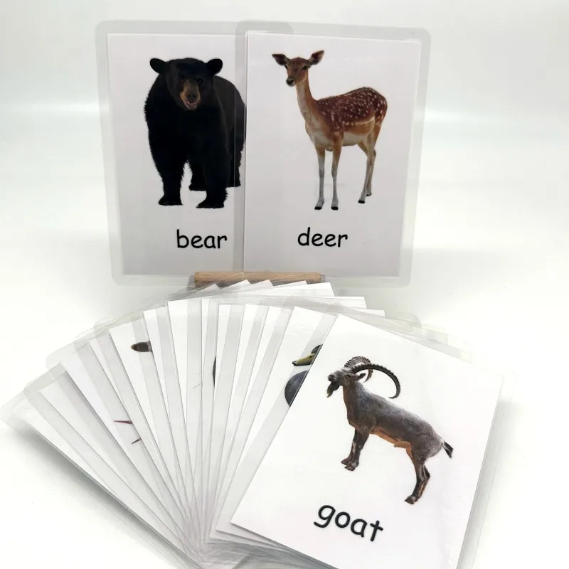 

《Various color animal learning alphabet cards》Colorful Animal Alphabet Learning Cards for Visual Engagement Enlightenment