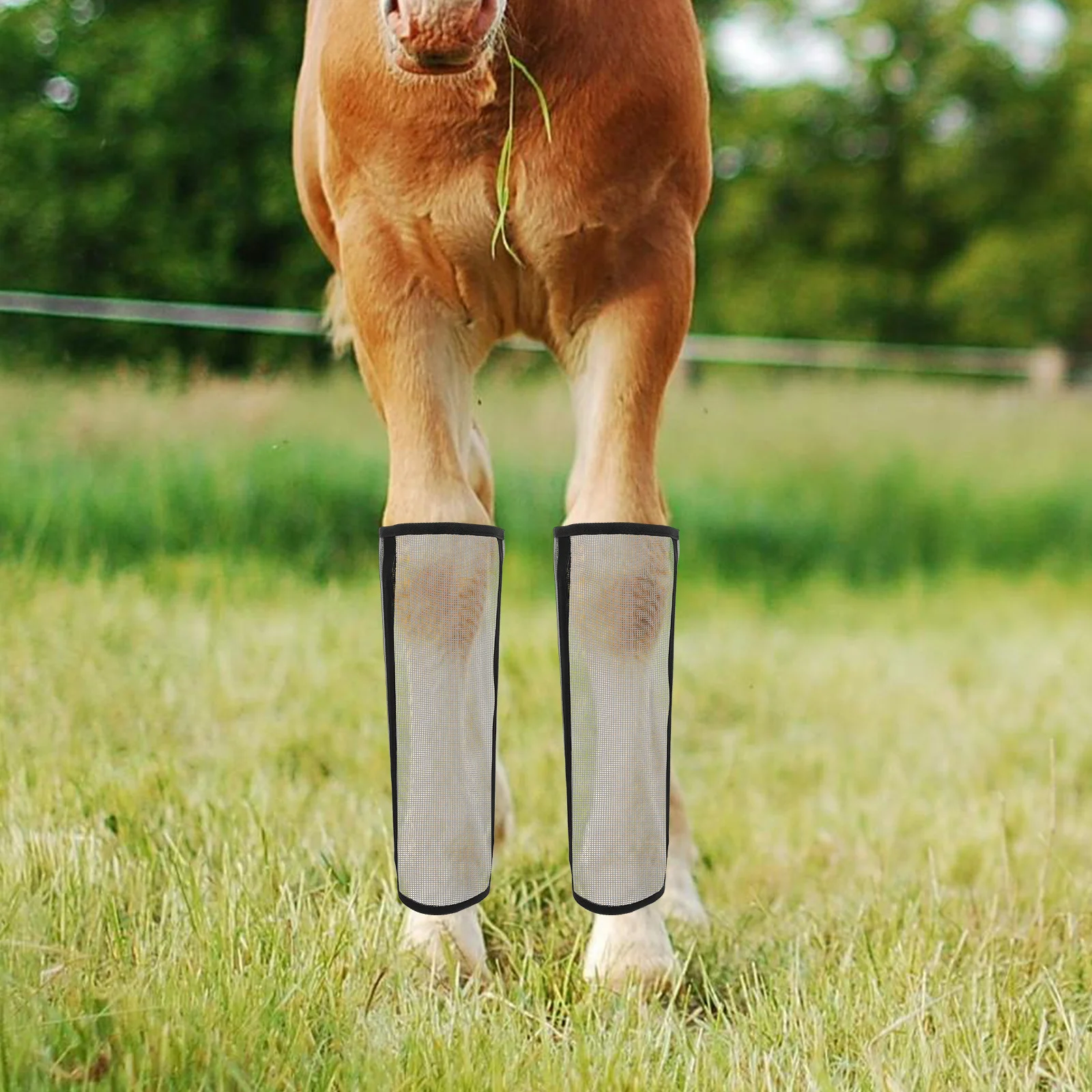 4 قطع من الأحذية الشبكية لحماية الساق قابلة للتنفس ومضادة لتخفيف تعب الساق ومستلزمات العناية بالحصان معدات ركوب الخيل #2