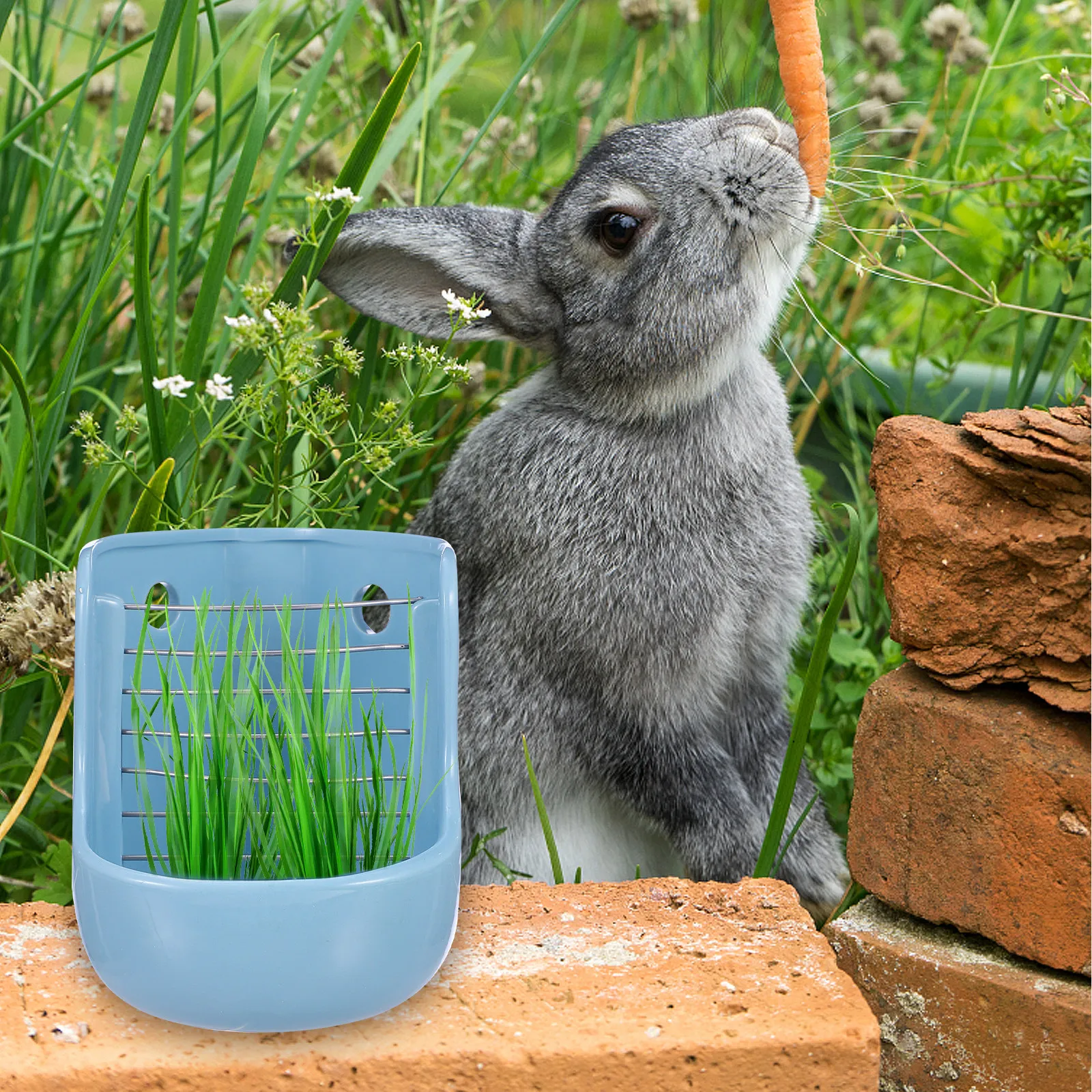 mangeoire-en-ceramique-pour-chinchillas-et-petits-animaux-double-usage-bol-a-nourriture-et-a-foin-fixation-sur-cage-installation-facile-pour-lapins-et-cochons-d'inde