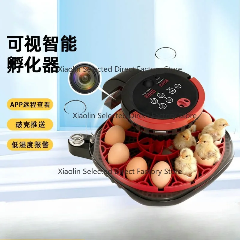 Visual Rutin Chick Chicken Bird Incub-ator Small Home Smart Incubation Machine Parrot Toy Incubation Box