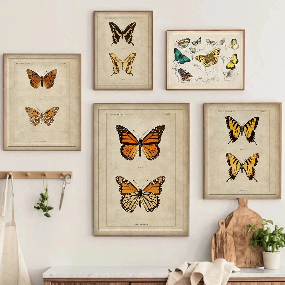 Antique Monarch Butterfly Vintage Insect Art Posters and Prints Canvas Printing Wall Picture for Living Room Home Decor Gifts