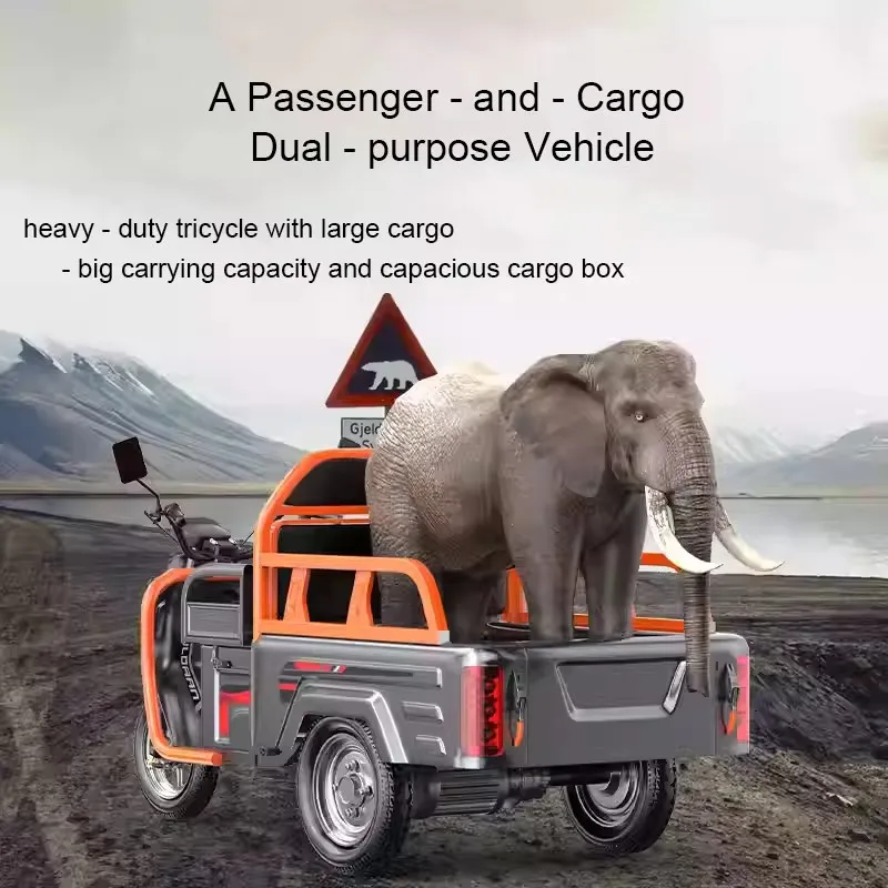 Adult 3 Big Wheel Cabin Truck Electric Cargo Tricycle of Electric Agricultural Vehicle