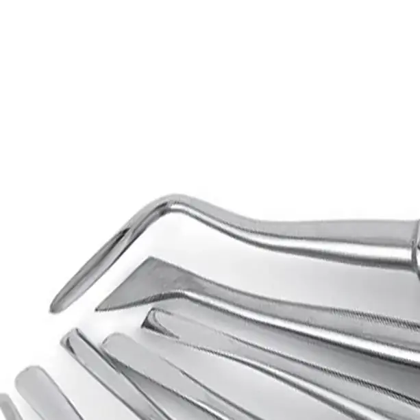 10pcs/set Dental Elevator Handle High Quality Dentist Luxating Lift Elevator Kit Curved Root Tooth Extraction Instruments