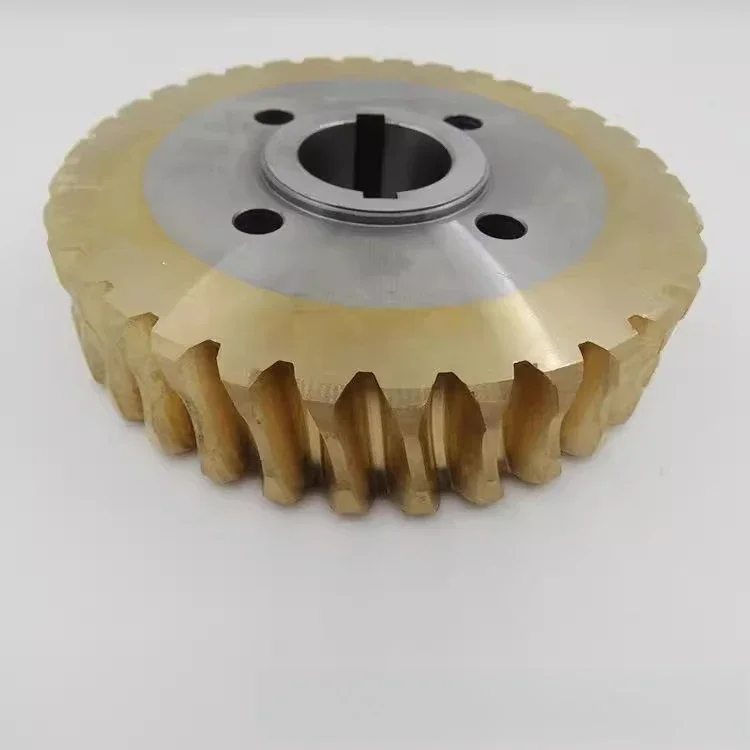 Supply transmission machine accessories worm gear, large modulus gear, copper transmission worm gear