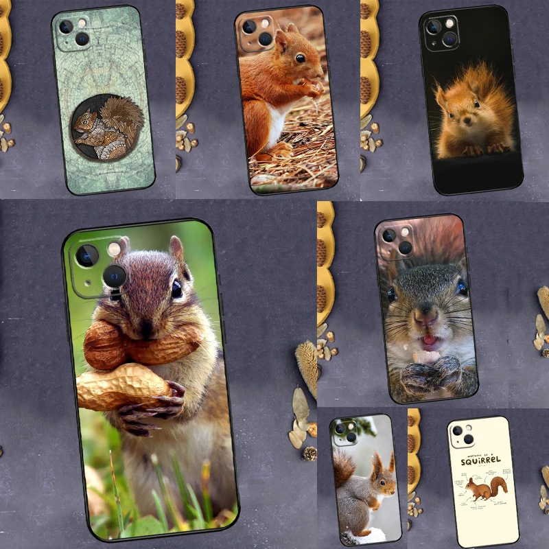Squirrel Cute Animals Case For Samsung Galaxy A57 A37 A17 A54 A34 A14 A52 A32 A12 A13 A33 A53 A15 A55 A16 A36 A56