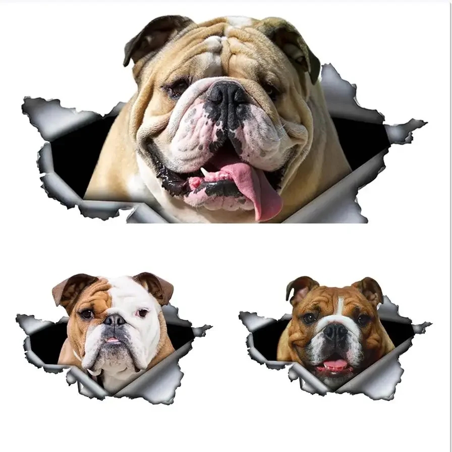 

Funny English Bulldog PVC Car Decal Waterproof Auto Decors on Bumper Rear Window Laptop Car Accessories