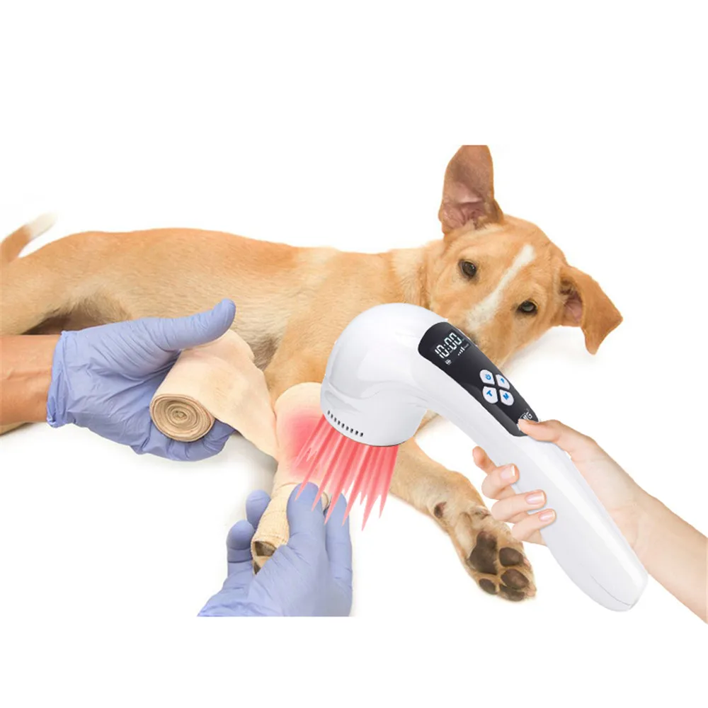 

808nm+650nm TENS Veterinary Cold for Animal Arthritis Healing & Cervical Pain Treatment Muscle Rehabilitation