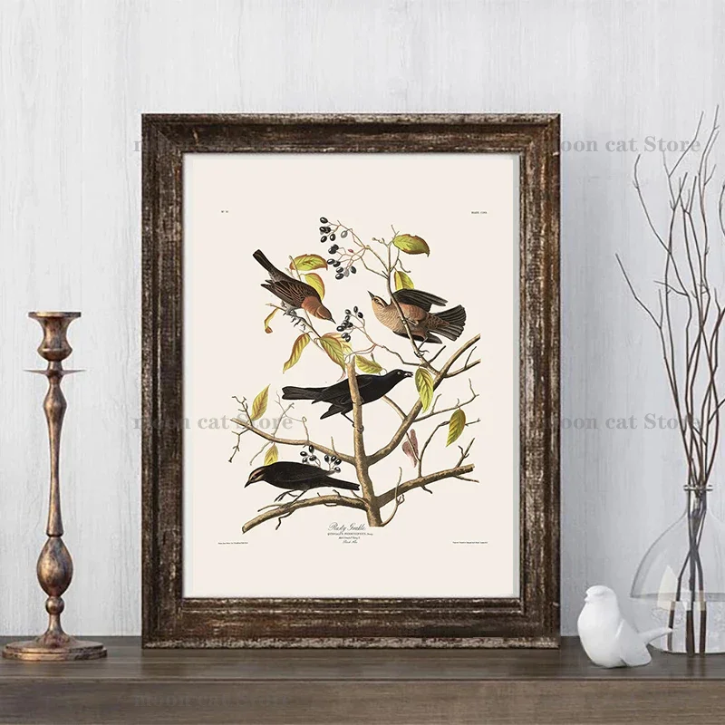 1PCS frameless Vintage Birds Old Audubon Illustration Floral Plants Poster Canvas Painting Cormorant Bird Wall Pictures Realism