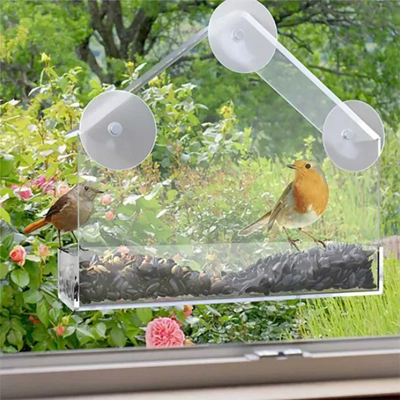 Cup Bird Transparent Gazebo Window With Glass Suction House Hummingbird Cage Type Outdoor For Accessories Feeder Feeding