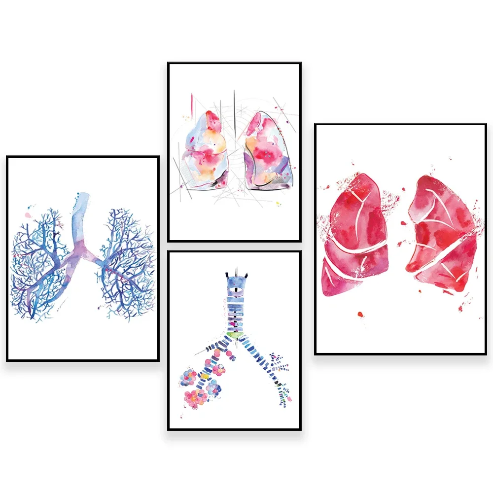 Lung Anatomy, Lung …