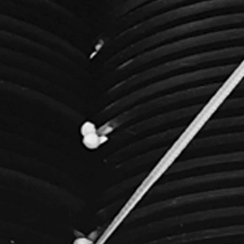 

Автоматическая машина для измельчения мяса с двумя моторами, высокомощный измельчитель и слайсер для свежего мяса