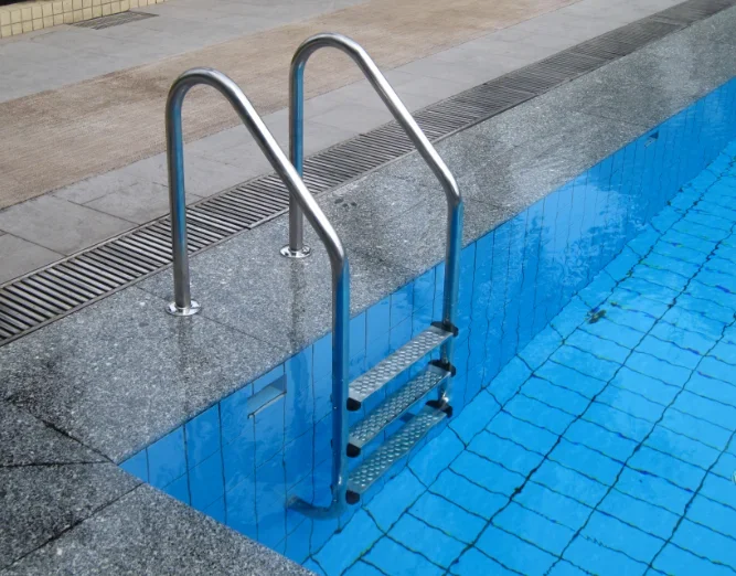 2026 High Quality Swimming Pool Ladder With Handrail for Swimming Poolpromote sales