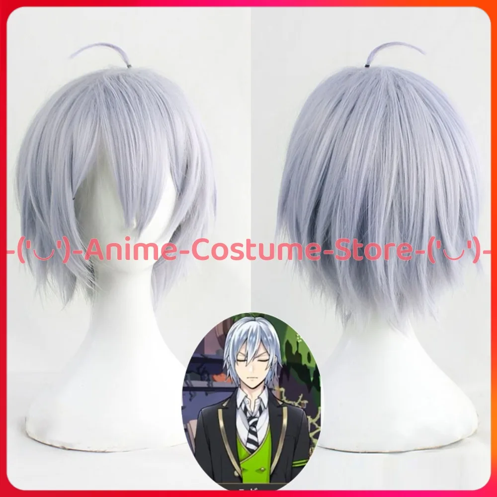 

Витая страна чудес, серебряный парик для косплея, аниме, игровой персонаж, Хэллоуин, карнавальный костюм для вечеринки, парики, термостойкие синтетические волосы