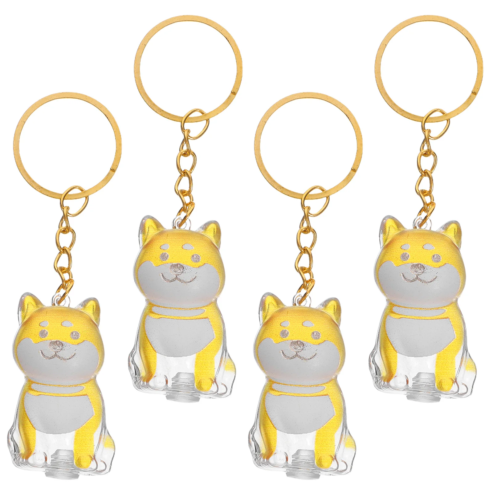 

4Pcs Dog Hair Keepsake Box Keychain Transparent Collector Pet Hair Memorial Storage Souvenir Charm Dog Keychain Charm