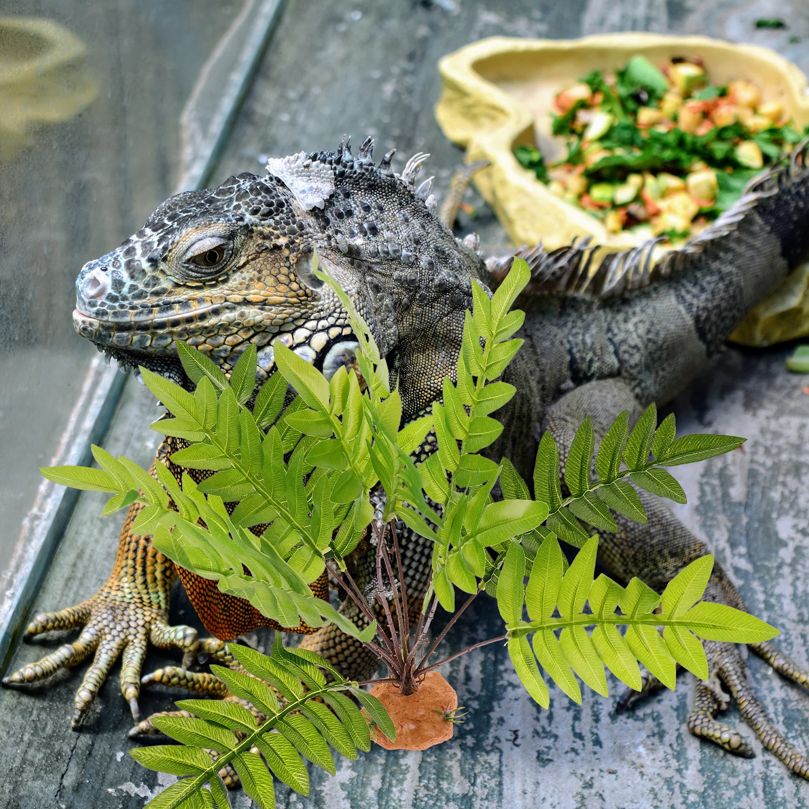 

Lifelike Decorative Plants for Reptile Terrarium Aquarium Fake Plant Ornament Amphibians Habitat Sturdy Resin Look