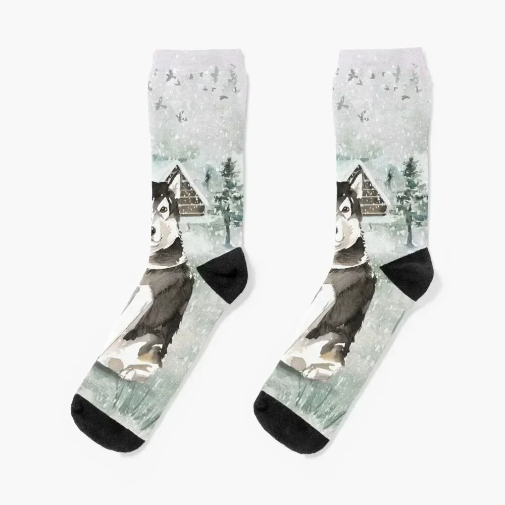 

Alaskan Malamute Socks retro kids happy Men's Socks Luxury Women's