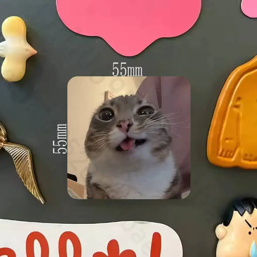 Funny Cat Meme Fridge Magnets Magnetic Refrigerator Memorial Gifts For Kitchen Office Locker Travel