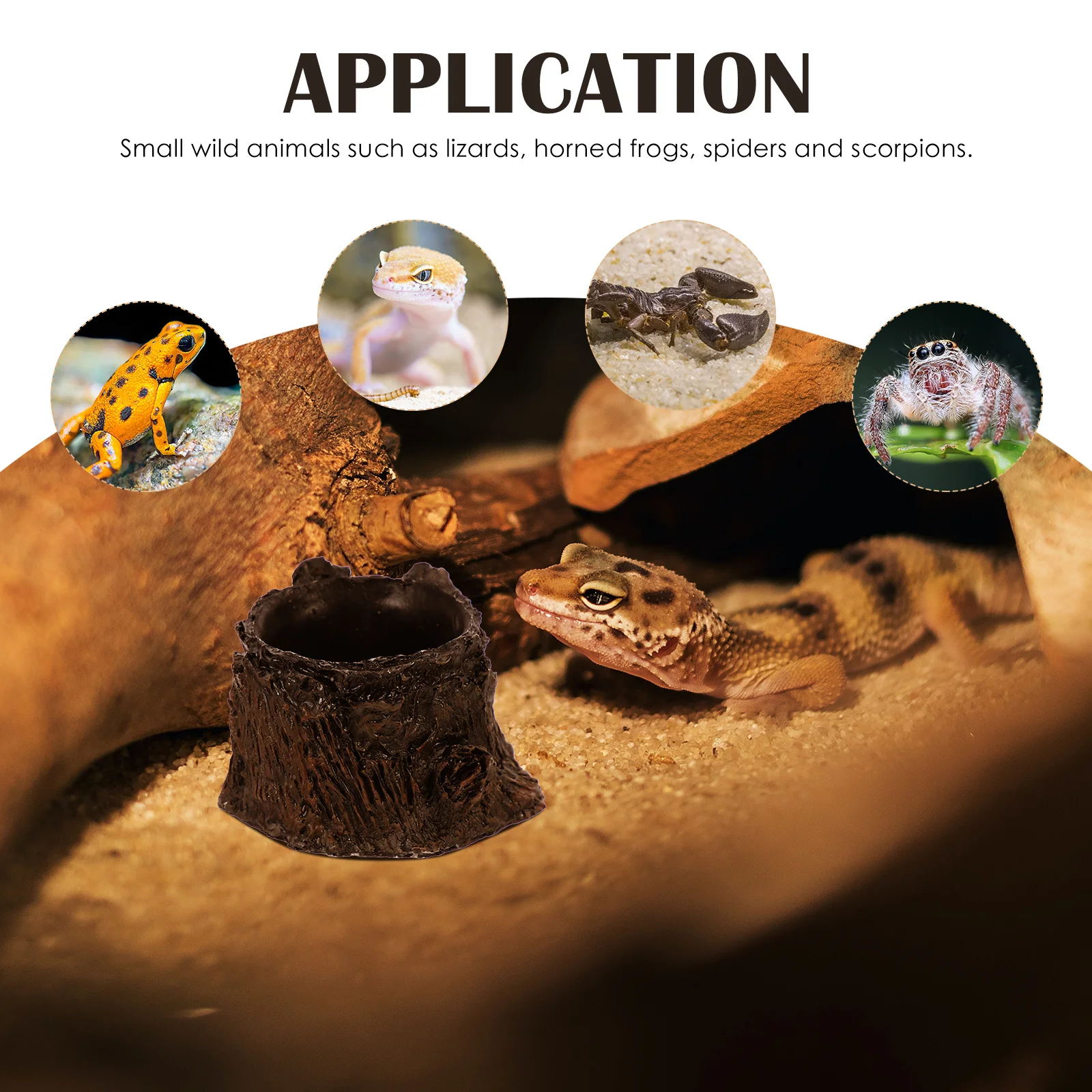 الراتنج وعاء الماء طبق الماء الزواحف سطح أملس وعاء التغذية للزواحف الملتحي التنين خزان الملحقات داخلي سحلية الغذاء #6