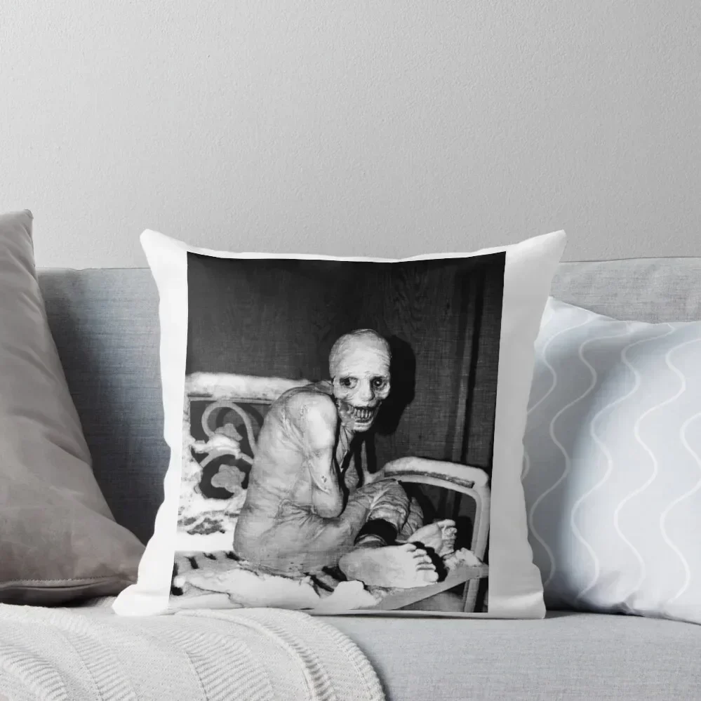 Russian Sleep Experiment (Creepy Pasta) Throw Pillow Cushion Cover For Sofa New year Decorative Pillow Covers For Sofa pillow