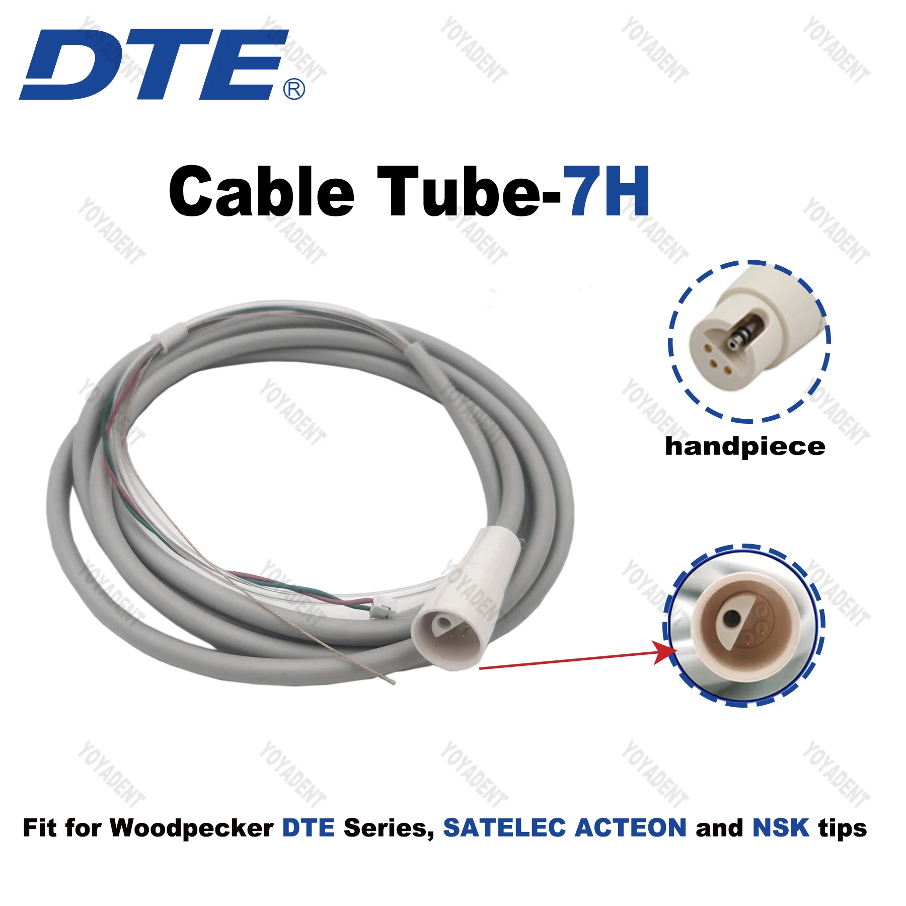 Originele Specht DTE Tandheelkundige Ultrasone Scaler Handstuk LED Licht HW-6L HW-5L HD-7L HD-7H HW-3H Fit EMS NSK SATELEC ACTEON