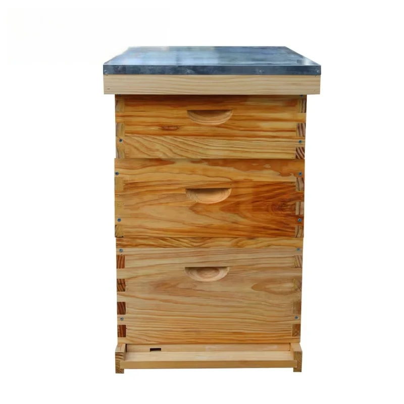 Wax Coated Wooden Langstroth Bee Hive Complete Beehive Box 3 Layers Without Frames Custom Logo Beekeeping Equipment