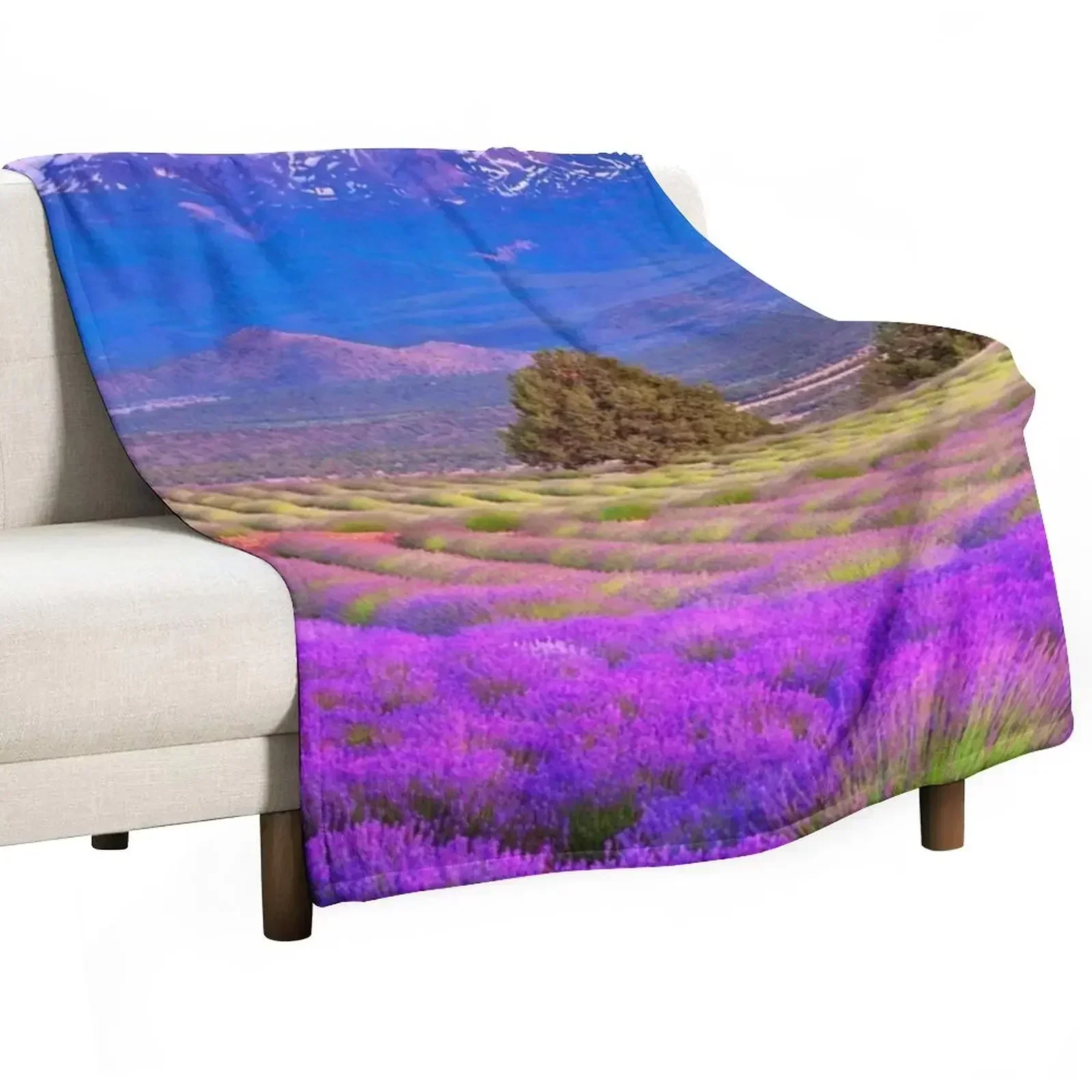 Provence, France Throw Blanket Baby Soft Big Stuffeds for winter Quilt For Baby Blankets