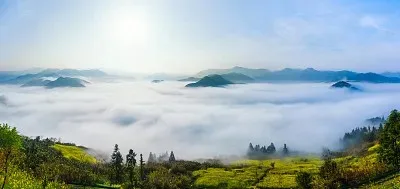 For Tamiya TT02S Sr…