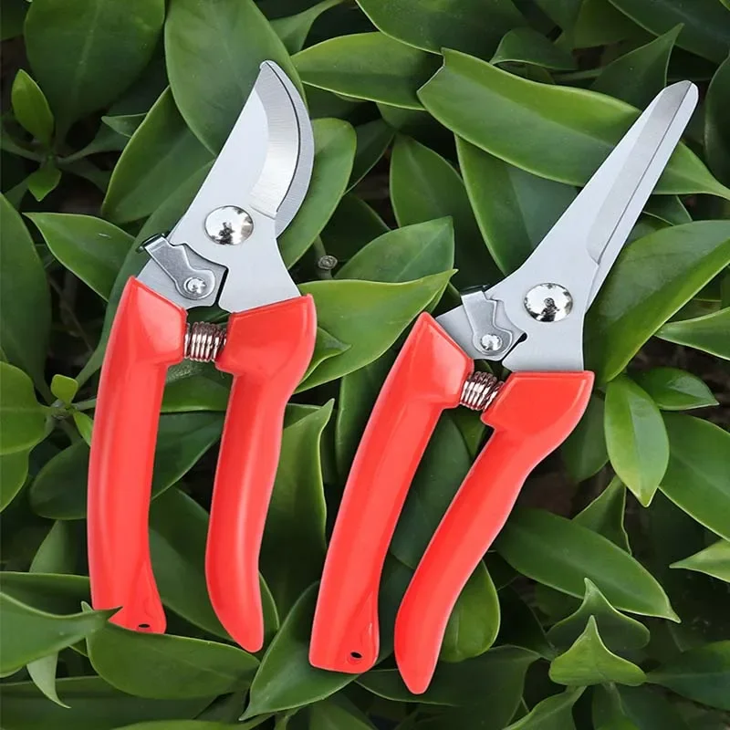 

Complete Set of Pruning Shears PH98+PH99 Red Card Insertion Kit Garden Scissors Grafter Gardening Set Manual Tools Scissors