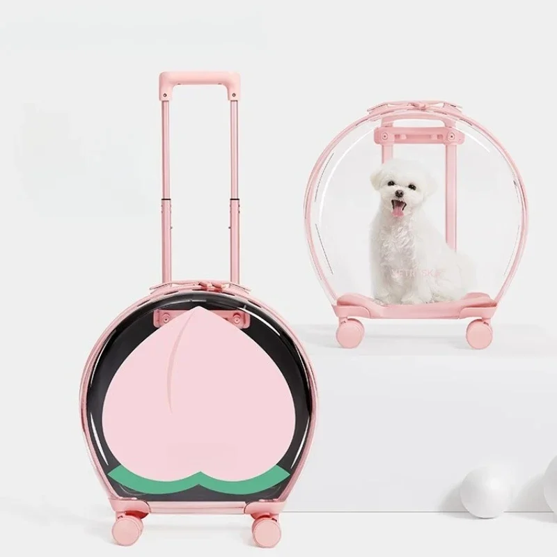 Bubble Box, bolsa para gatos, mochila portátil para cabina espacial, maleta con ruedas de mano